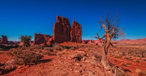 Credit: Dennis Buchner, Unsplash